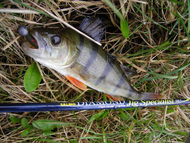 Обои картинки фото разное, рыбалка,  рыбаки,  улов,  снасти