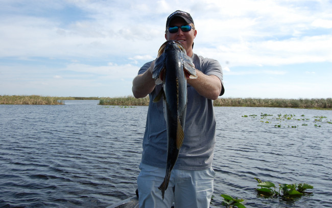 Обои картинки фото разное, рыбалка,  рыбаки,  улов,  снасти