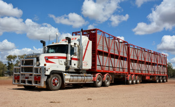 Картинка mack+stockcrate автомобили mack седельный тягач грузовик тяжелый