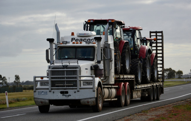 Обои картинки фото western star, автомобили, тягач, седельный, грузовик, тяжелый