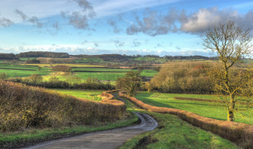 Картинка природа дороги шоссе