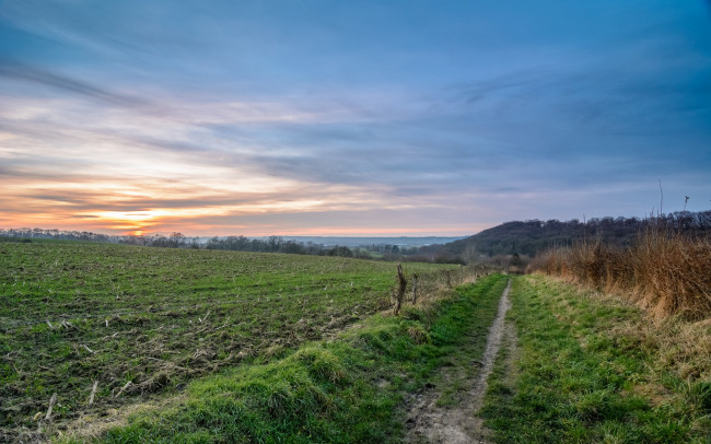 Обои картинки фото природа, дороги, поле, дорожка