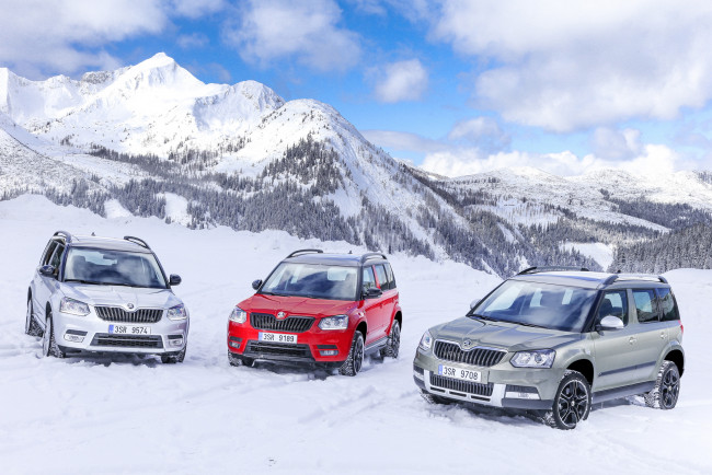 Обои картинки фото автомобили, skoda