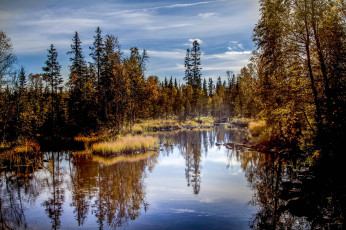 Картинка природа реки озера лес река