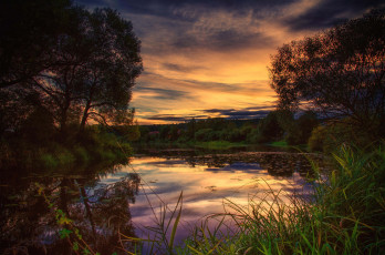 Картинка природа реки озера лес река