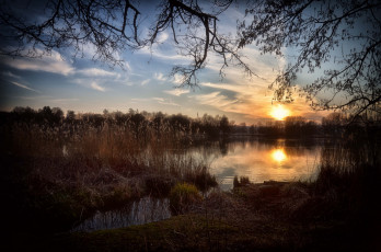 Картинка природа реки озера лес река