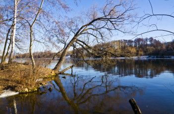 Картинка природа реки озера лес река