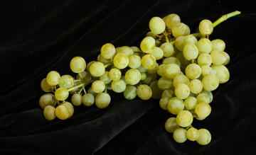 Картинка еда виноград кисть