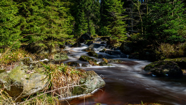 Обои картинки фото природа, реки, озера, лес, река