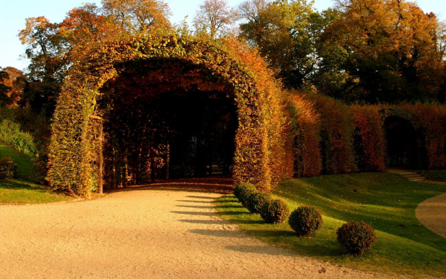 Обои картинки фото природа, парк, туннель