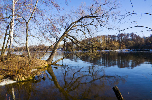 Обои картинки фото природа, реки, озера, лес, река