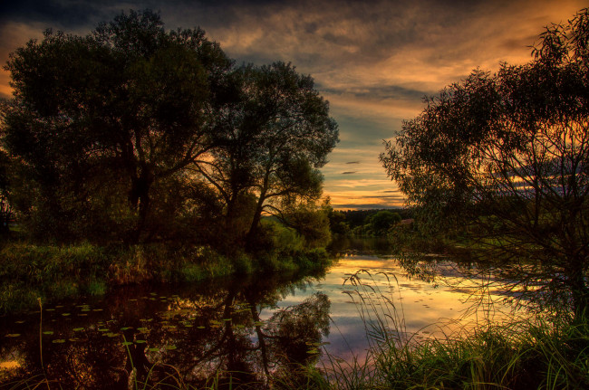 Обои картинки фото природа, реки, озера, лес, река