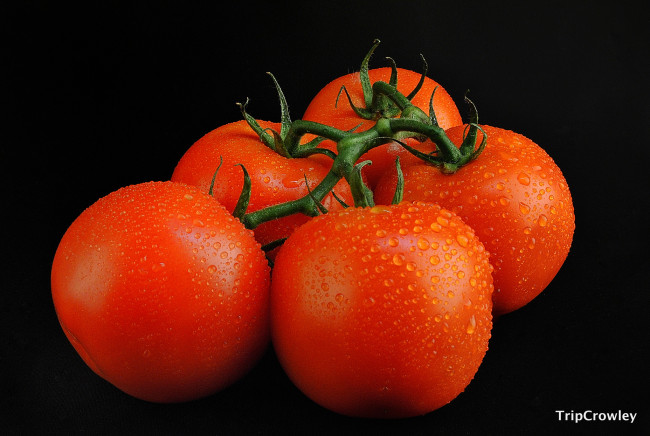 Обои картинки фото еда, помидоры, томаты