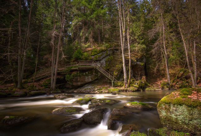 Обои картинки фото природа, реки, озера, лес, река