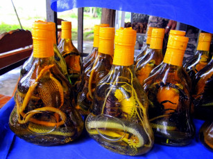 Картинка еда напитки экзотические