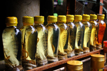 Картинка еда напитки экзотические