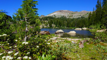 Картинка природа реки озера простор