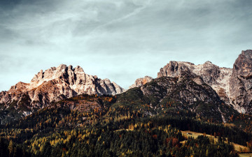 Картинка природа горы вершины лес