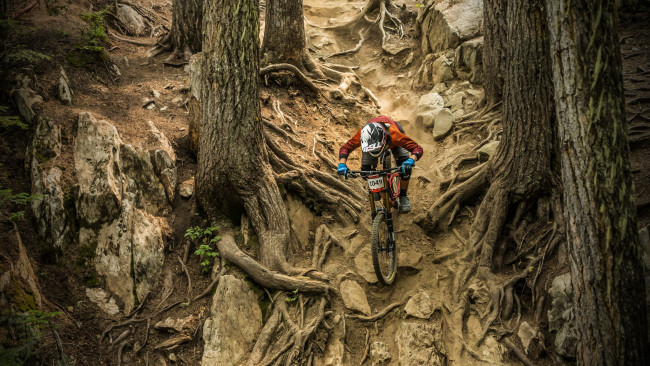 Обои картинки фото спорт, велоспорт, трасса, гонка