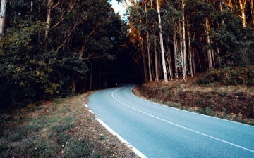 Картинка природа дороги шоссе