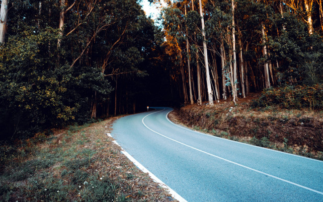 Обои картинки фото природа, дороги, шоссе