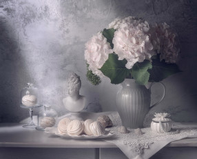 Картинка еда натюрморт бюст гортензия букет зефир