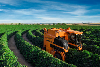 Картинка техника комбайны jacto