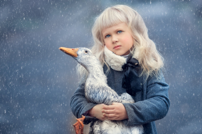 Обои картинки фото разное, дети, девочка, гусь, снег