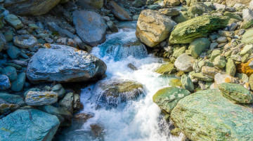 Картинка природа реки озера река