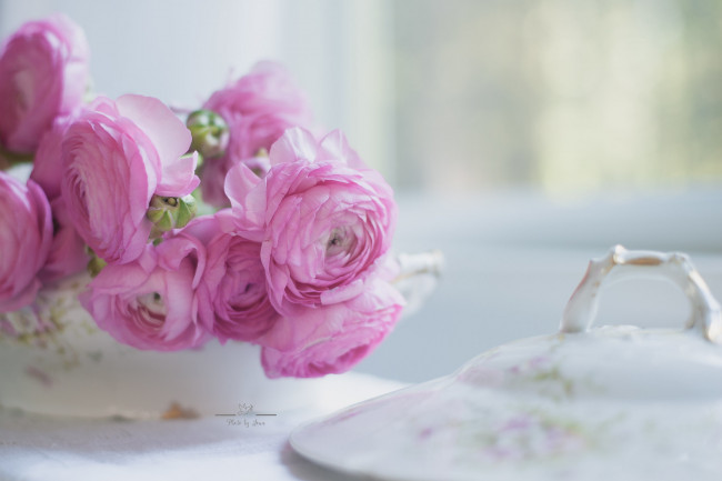 Обои картинки фото цветы, ранункулюс , азиатский лютик, люпин, цветок, ваза, букет