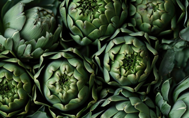Обои картинки фото еда, артишок, артишоки, макро