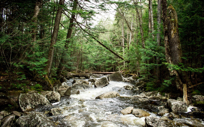 Обои картинки фото природа, радуга, река, камни, лес