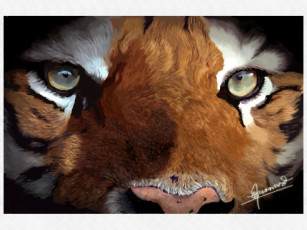 Картинка рисованные животные тигры