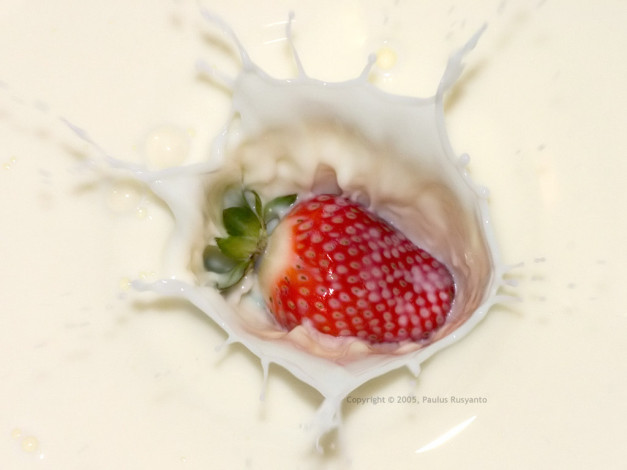 Обои картинки фото еда, клубника, земляника