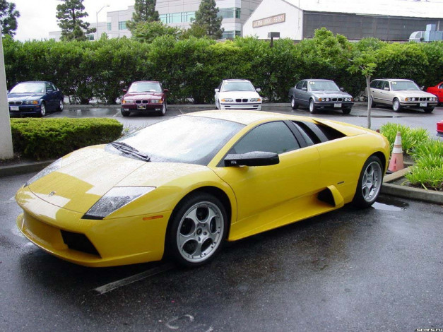 Обои картинки фото lamborghini, murcielago, автомобили, выставки, уличные, фото