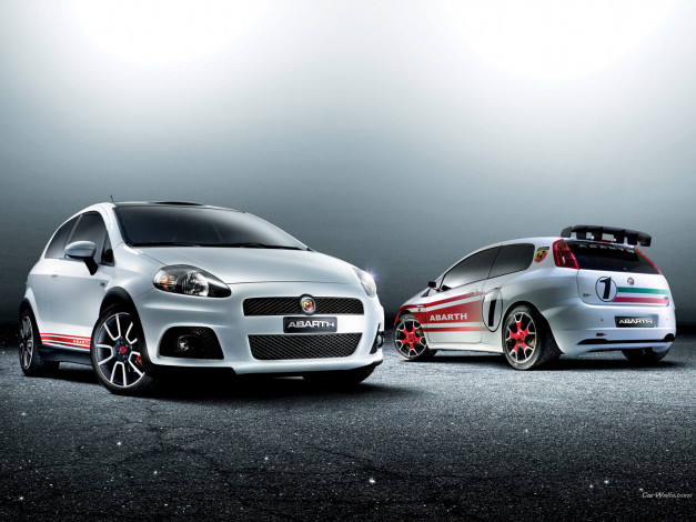 Обои картинки фото автомобили, fiat