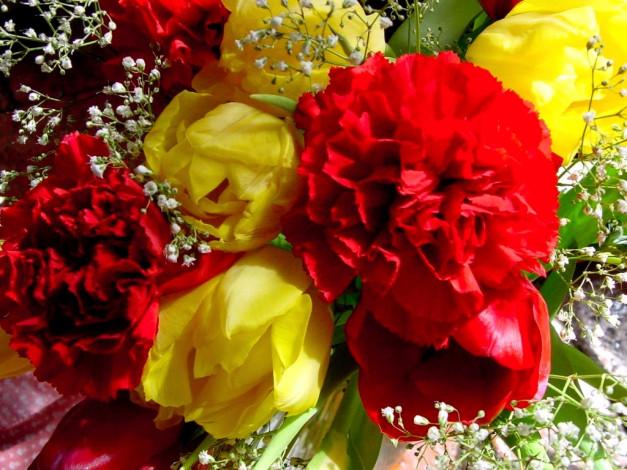 Обои картинки фото цветы, разные, вместе