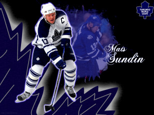 Картинка спорт nhl