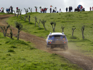 Картинка спорт авторалли