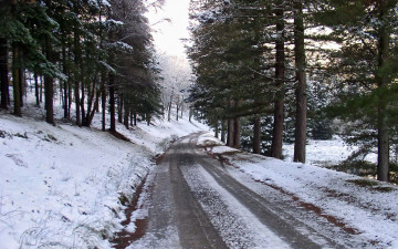 Картинка природа дороги