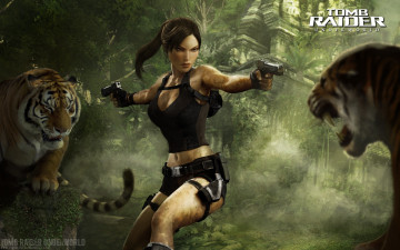 Картинка видео игры tomb raider underworld