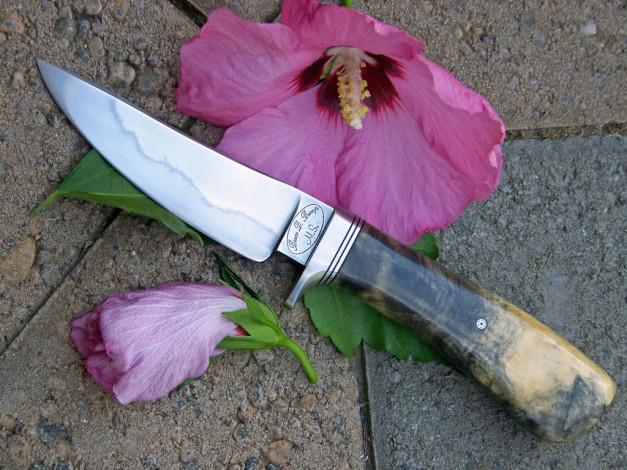 Обои картинки фото оружие, холодное