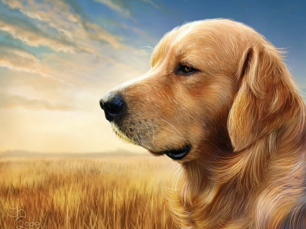 Обои картинки фото рисованные, животные