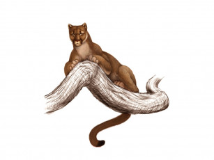 Картинка рисованные животные