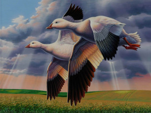 Картинка рисованные животные