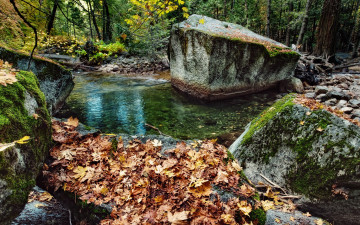 Картинка природа реки озера