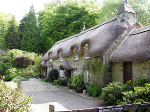 Картинка города здания дома деревья кусты двор дом