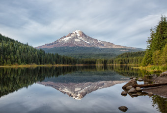 Картинка природа реки озера oregon гора trillium lake лес ели отражение озеро