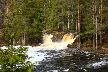 Картинка природа водопады водопад лес