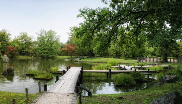 Картинка japanese garden hasselt бельгия природа парк растения